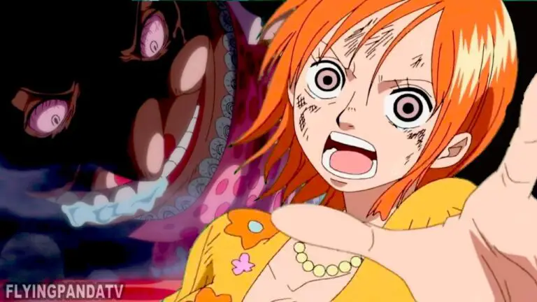 Who are Nami’s Real Parents?